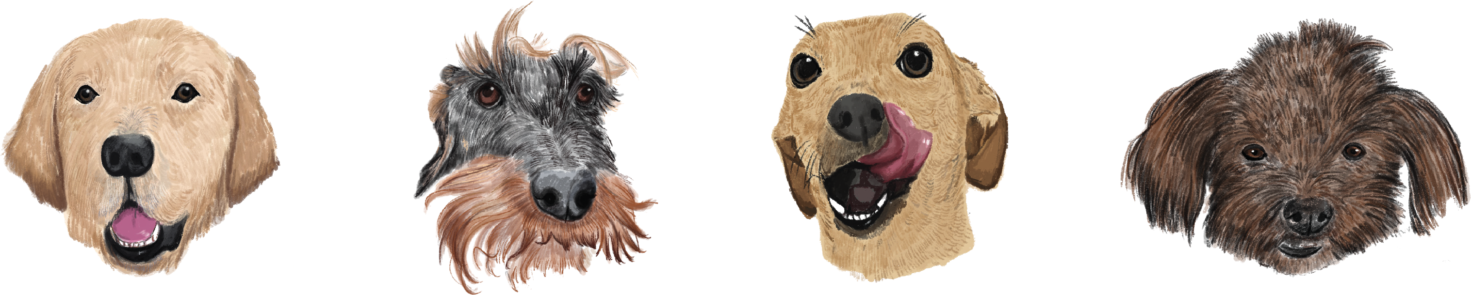 Els gossets